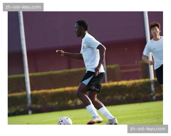 辽宁铁人外援总身价破千万，热菲尼奥与姆本扎组合考验实战效果